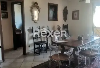 Rexer-Palestrina-Trilocale-moderno-con-terrazzi-posto-auto-e-cantina-Via-Santa-Maria-Palestrina-Altro