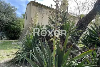 Rexer-Pomarance-PODERE-CON-ETTARI-DI-TERRENO-POMARANCE-Altro