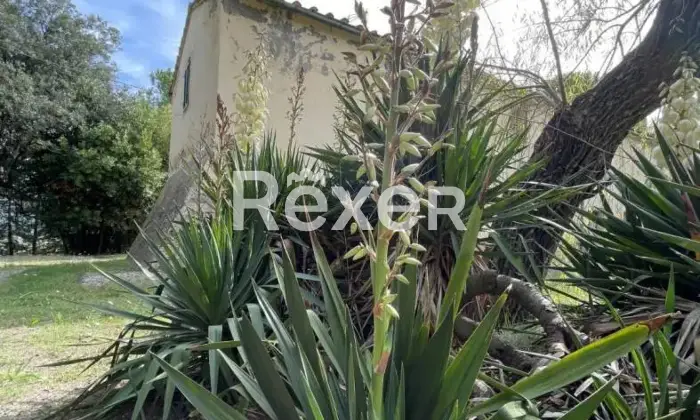 Rexer-Pomarance-PODERE-CON-ETTARI-DI-TERRENO-POMARANCE-Altro