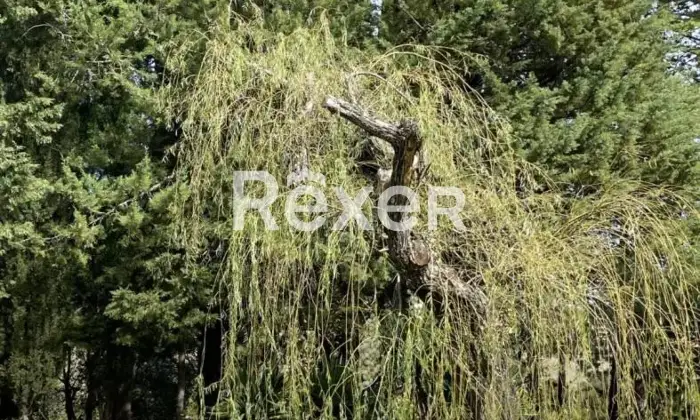 Rexer-Pomarance-PODERE-CON-ETTARI-DI-TERRENO-POMARANCE-Altro