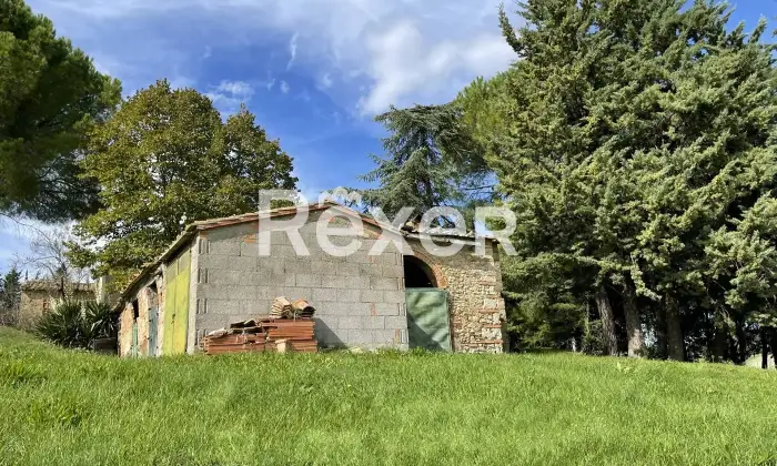 Rexer-Pomarance-PODERE-CON-ETTARI-DI-TERRENO-POMARANCE-Altro