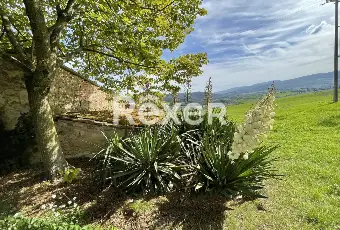 Rexer-Pomarance-PODERE-CON-ETTARI-DI-TERRENO-POMARANCE-Altro