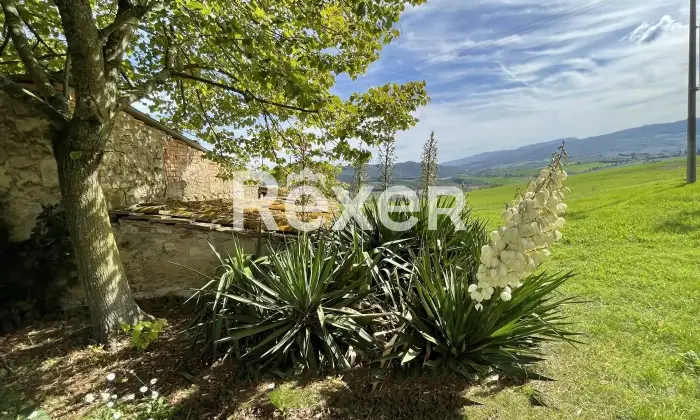 Rexer-Pomarance-PODERE-CON-ETTARI-DI-TERRENO-POMARANCE-Altro