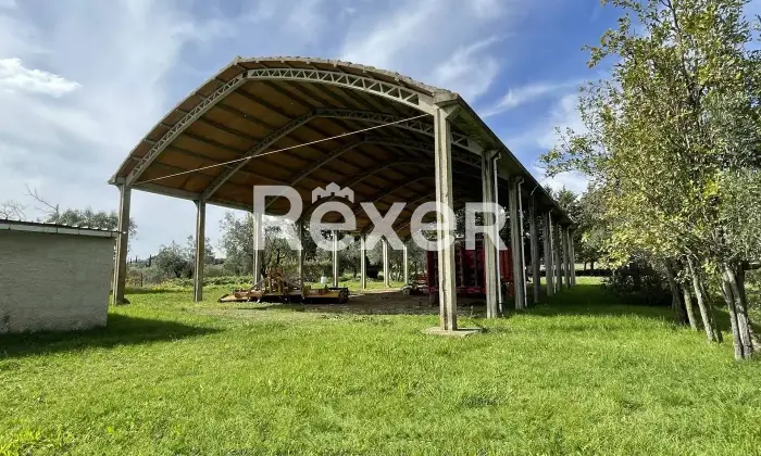 Rexer-Pomarance-PODERE-CON-ETTARI-DI-TERRENO-POMARANCE-Altro