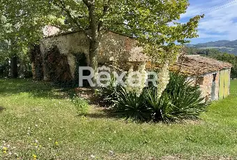 Rexer-Pomarance-PODERE-CON-ETTARI-DI-TERRENO-POMARANCE-Altro