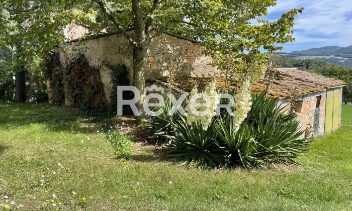 Rexer-Pomarance-PODERE-CON-ETTARI-DI-TERRENO-POMARANCE-Altro