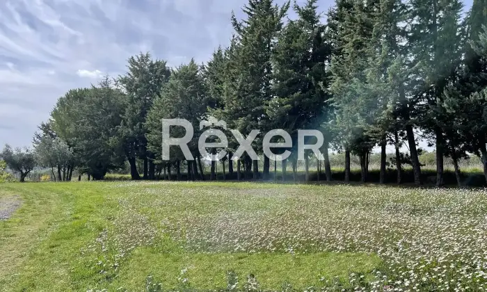 Rexer-Pomarance-PODERE-CON-ETTARI-DI-TERRENO-POMARANCE-Altro