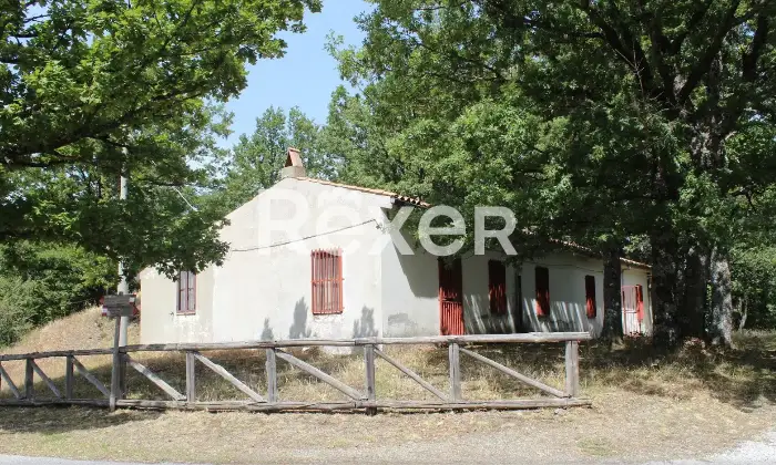 Rexer-San-Costantino-Albanese-Casa-in-vendita-in-Localit-Acquafredda-Parco-Nazionale-del-Pollino-Altro