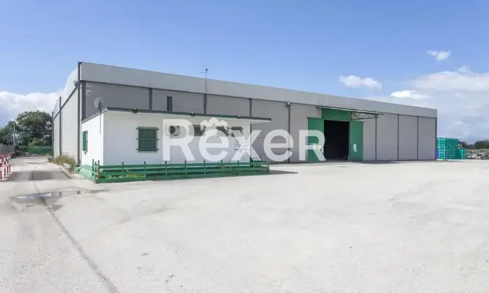 Rexer-Aielli-Immobile-industriale-a-reddito-con-magazzini-e-abitazione-ad-Aielli-Altro