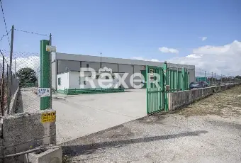 Rexer-Aielli-Immobile-industriale-a-reddito-con-magazzini-e-abitazione-ad-Aielli-Altro