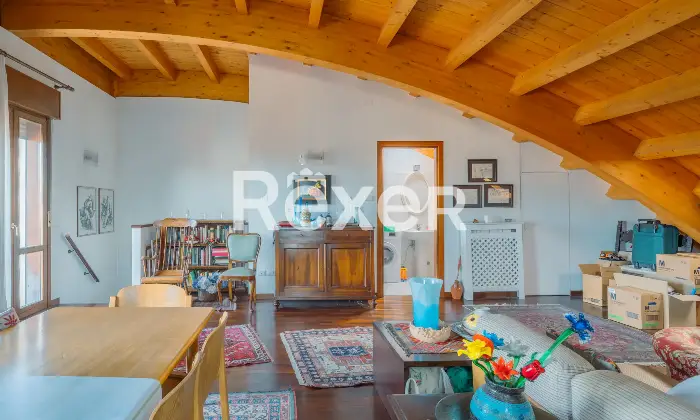 Rexer-Padova-Luminoso-ultimo-piano-su-due-livelli-Altro