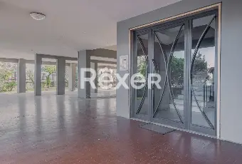 Rexer-Roma-Luminoso-quinto-piano-con-cantina-di-pertinenza-Altro