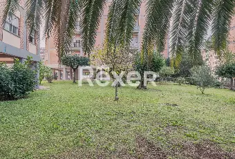 Rexer-Roma-Luminoso-quinto-piano-con-cantina-di-pertinenza-Altro