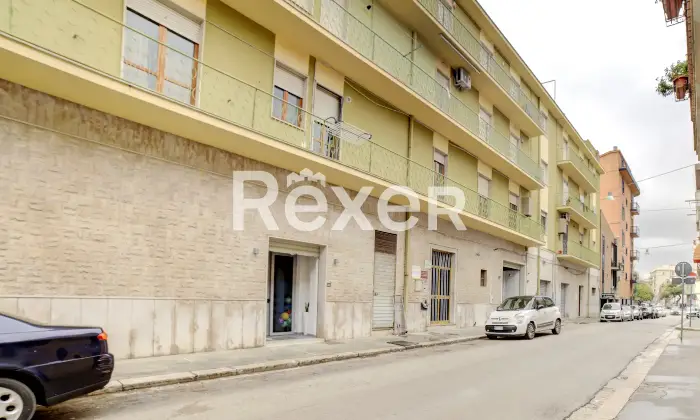 Rexer-San-Severo-Lumimoso-appartamento-signorile-Altro