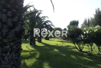 Rexer-Bernalda-Villetta-a-schiera-in-vendita-in-Via-Santa-Pelagine-Altro