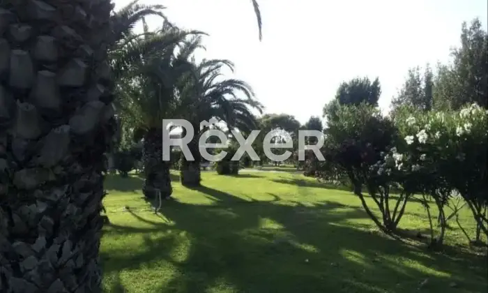 Rexer-Bernalda-Villetta-a-schiera-in-vendita-in-Via-Santa-Pelagine-Altro