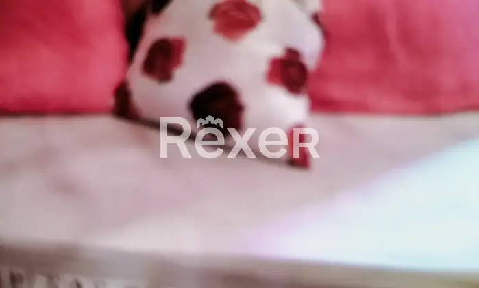 Rexer-Santu-Lussurgiu-Casa-indipendente-in-vendita-in-via-Oristano-a-Santu-Lussurgiu-Altro