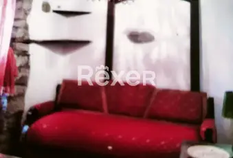 Rexer-Santu-Lussurgiu-Casa-indipendente-in-vendita-in-via-Oristano-a-Santu-Lussurgiu-Altro