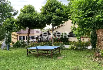 Rexer-Sabaudia-Agriturismo-con-piscina-e-bellissimo-giardino-Giardino