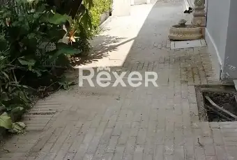 Rexer-Predappio-Casa-indipendente-in-vendita-in-via-Marco-Palmezzano-a-Predappio-Altro