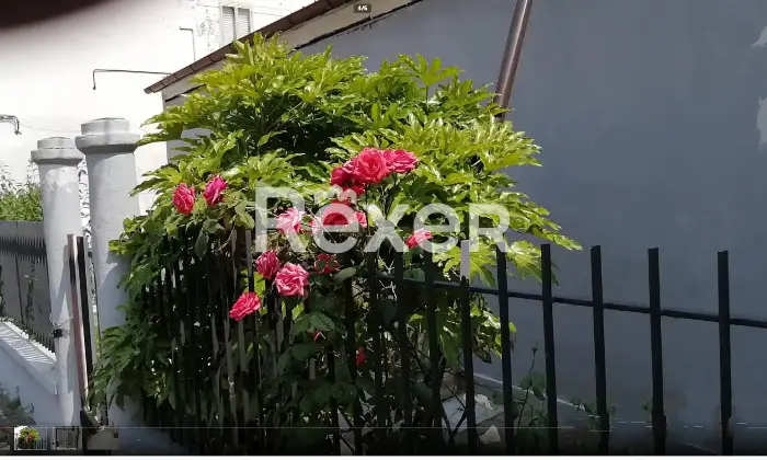 Rexer-Predappio-Casa-indipendente-in-vendita-in-via-Marco-Palmezzano-a-Predappio-Altro