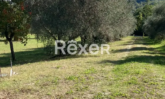 Rexer-Monte-Roberto-Casale-di-campagna-in-vendita-a-MonteRoberto-Altro