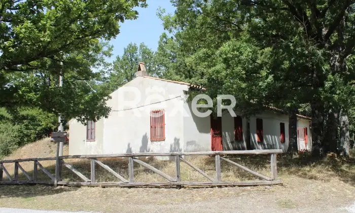 Rexer-San-Costantino-Albanese-Appartamento-in-vendita-in-Contrada-Conserva-a-San-Costantino-Albanese-Altro