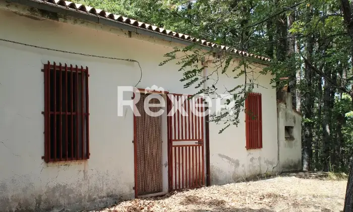 Rexer-San-Costantino-Albanese-Immobile-in-vendita-in-Contrada-Conserva-a-San-Costantino-Albanese-Altro