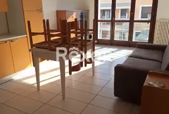 Rexer-Mezzano-Ampio-Bilocale-con-Terrazzo-Abitabile-Garage-e-Cantina-Mezzano-Ravenna-Altro