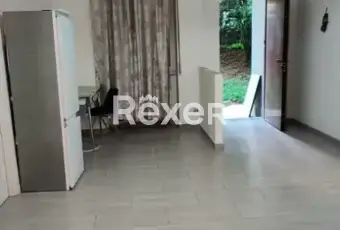 Rexer-Cremona-Appartamento-Ristrutturato-con-Ingresso-Indipendente-e-Posto-Auto-Via-Carlo-Vittori-Cremona-Altro