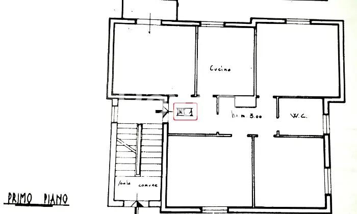 Rexer-Cagli-AMPIO-APPARTAMENTO-AL-PIANO-IN-PALAZZINA-BIFAMIGLIARE-Altro