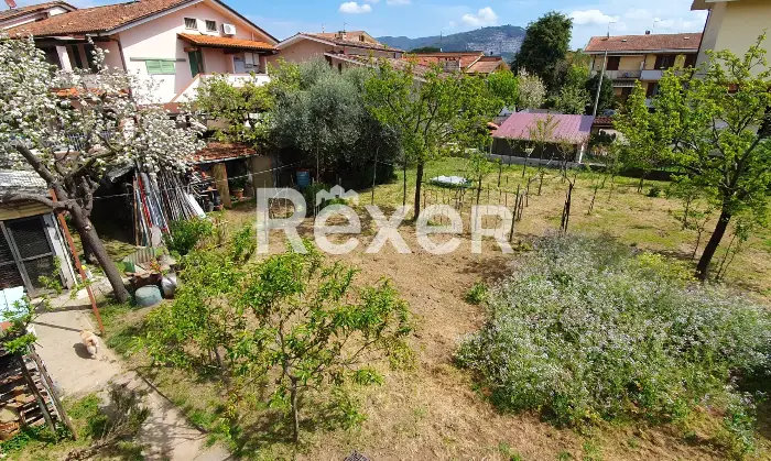 Rexer-Pieve-a-Nievole-Casa-bifamiliare-indipendente-con-giardino-Coltivazione