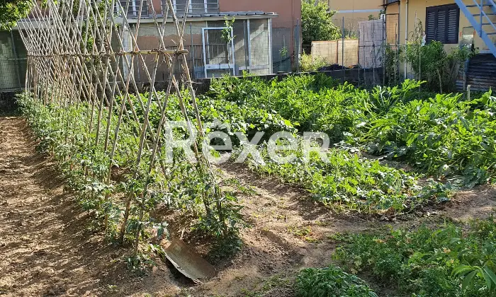 Rexer-Pieve-a-Nievole-Ampio-complesso-residenziale-con-due-unit-indipendenti-giardino-privato-e-pertinenze-ideale-per-famiglie-o-attivit-ricettive-Coltivazione