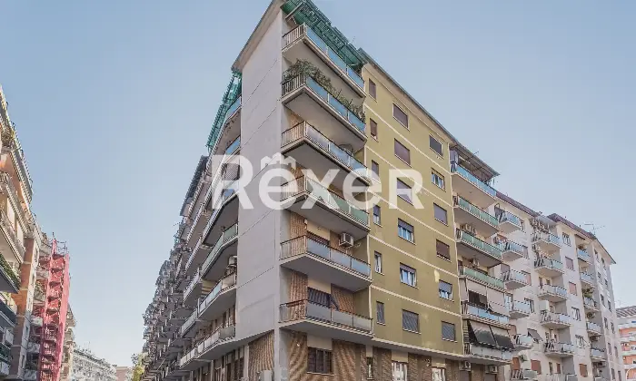Rexer-Roma-Appartamento-ampia-metratura-in-zona-Colli-Albani-Altro