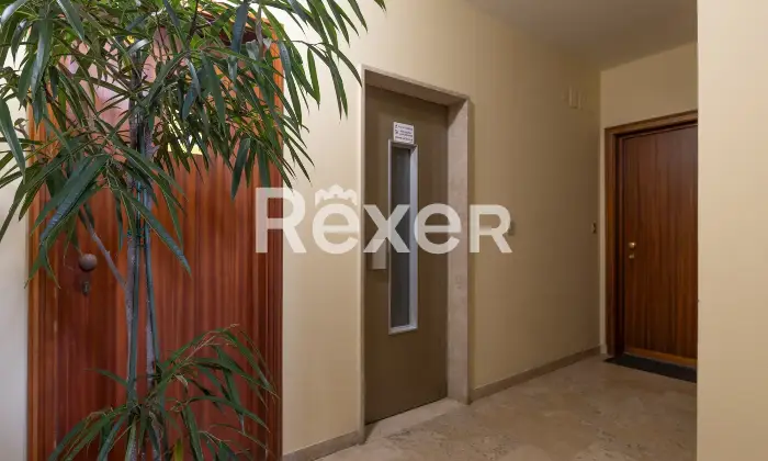 Rexer-Trieste-Appartamento-con-ampia-terrazza-Altro