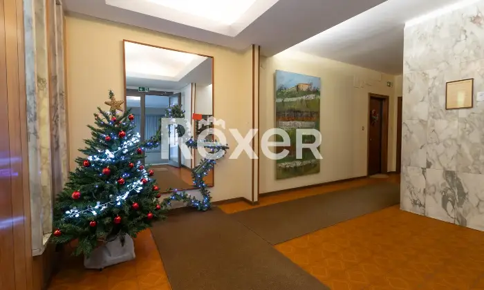 Rexer-Trieste-Appartamento-con-ampia-terrazza-Altro