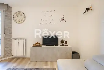 Rexer-Trieste-Appartamento-con-ampia-terrazza-Altro