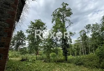 Rexer-Maiolo-Casolare-indipendente-con-terreno-agricolo-Terrazzo