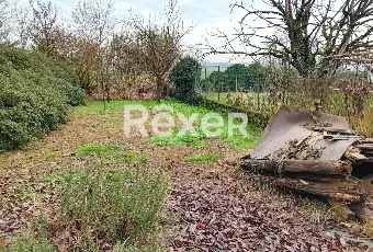 Rexer-Somaglia-Casa-indipendente-in-vendita-in-Localit-Coste-Fagioli-a-Somaglia-Altro