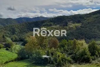 Rexer-Crocefieschi-Appartamento-in-vendita-al-secondo-piano-di-una-palazzina-depoca-Altro