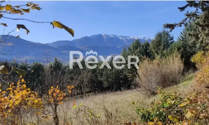 Rexer-Pizzoli-Villetta-bifamiliare-in-vendita-in-Via-Colle-Rosso-a-Pizzoli-Altro