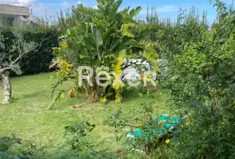 Rexer-Uggiano-la-Chiesa-VILLA-CON-SUOLO-EDIFICATORIO-MQ-REALIZZABILI-SU-DUE-LIVELLI-Giardino