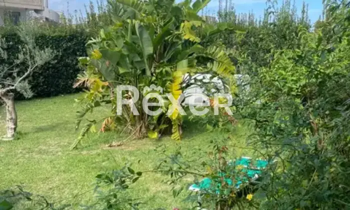 Rexer-Uggiano-la-Chiesa-VILLA-CON-SUOLO-EDIFICATORIO-MQ-REALIZZABILI-SU-DUE-LIVELLI-Giardino
