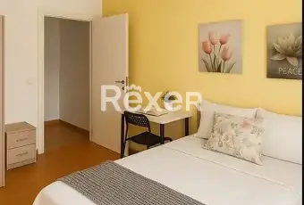 Rexer-Padova-Bilocale-arredato-al-piano-con-ascensore-e-posto-auto-privato-a-metri-dallOspedale-CTO-Altro