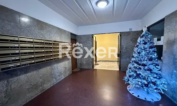 Rexer-Roma-Ampio-Monolocale-Altro