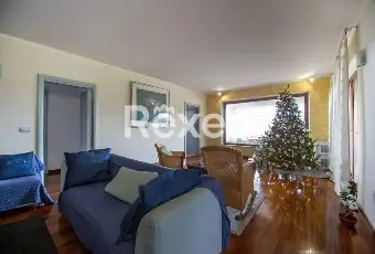 Rexer-Alanno-Villetta-bifamiliare-in-vendita-Altro