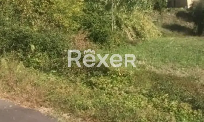 Rexer-Colonnella-Casale-in-vendita-in-Contrada-San-Martino-a-Colonnella-Altro