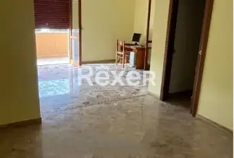 Rexer-Castelnuovo-Vomano-Appartamento-in-Vendita-in-Via-Torino-Castellalto-Castelnuovo-Vomano-Altro