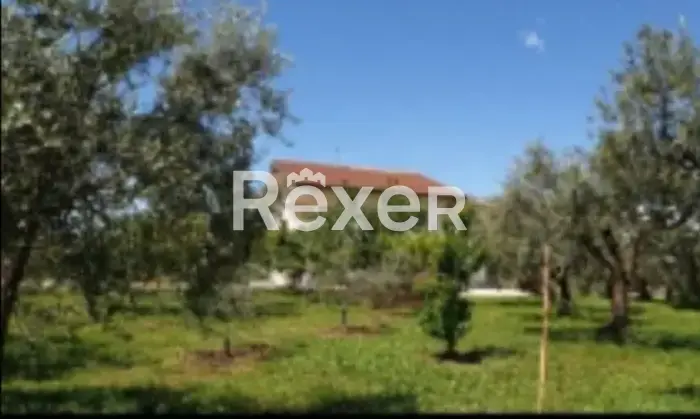Rexer-Crecchio-Splendida-casa-indipendente-in-Locali-Villa-Consalvi-Crecchio-Altro