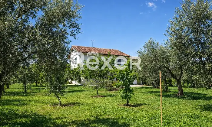 Rexer-Crecchio-Splendida-casa-indipendente-in-Locali-Villa-Consalvi-Crecchio-Altro